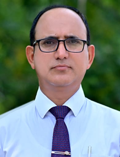principal